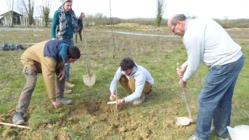 Journées de rencontre avec l'arbre à Marciac