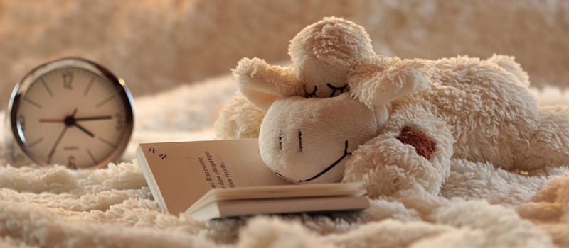 Dodo, avec les doudous