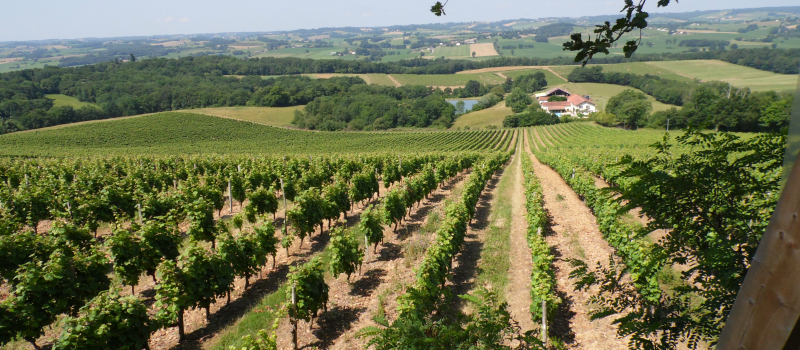 Quand la Syrah rencontre le Tannat