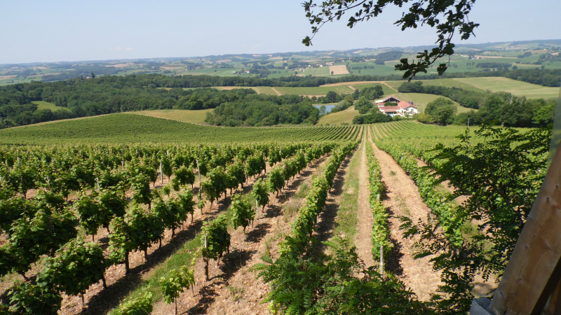 Quand la Syrah rencontre le Tannat