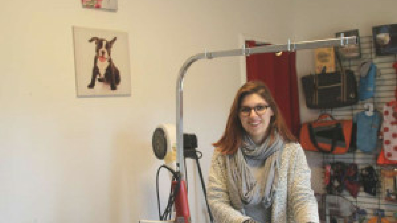 Un salon coquet pour toutous et matous