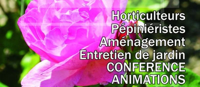 Mirande en fleurs, c'est dimanche !