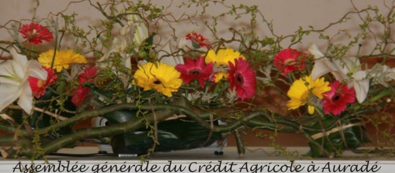 Assemblée Générale du Crédit Agricole à Auradé