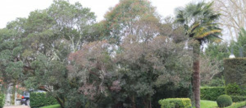Faites des jardins