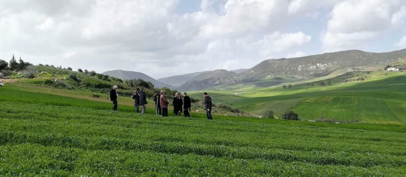 Agroforesterie, couverts végétaux et changement climatique