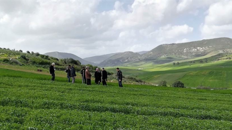 Agroforesterie, couverts végétaux et changement climatique