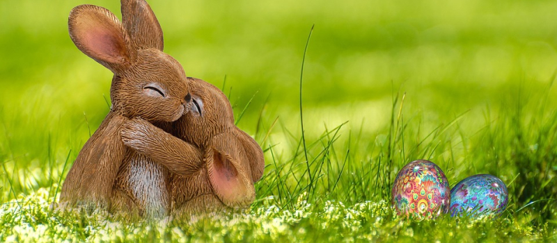 On fait quoi ce week-end ?