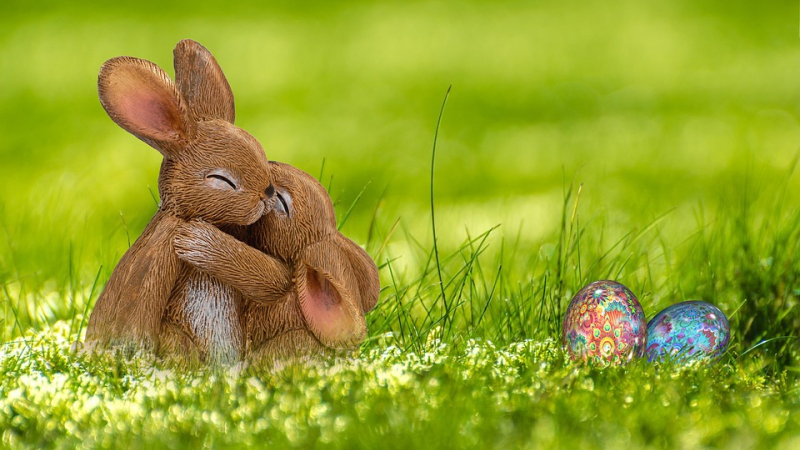 On fait quoi ce week-end ?