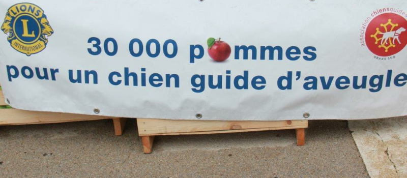 30000 POMMES POUR UN CHIEN GUIDE D’AVEUGLE