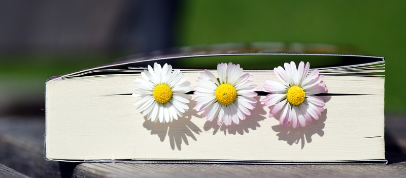 A vos marque-pages !