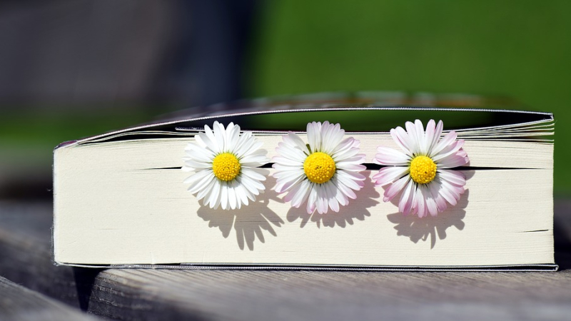 A vos marque-pages !