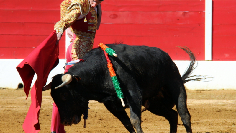 Tauromachie Aignan