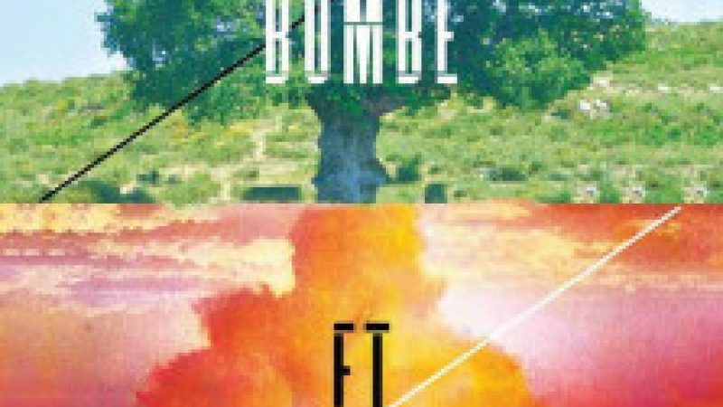      Cinéma « La bombe et nous »