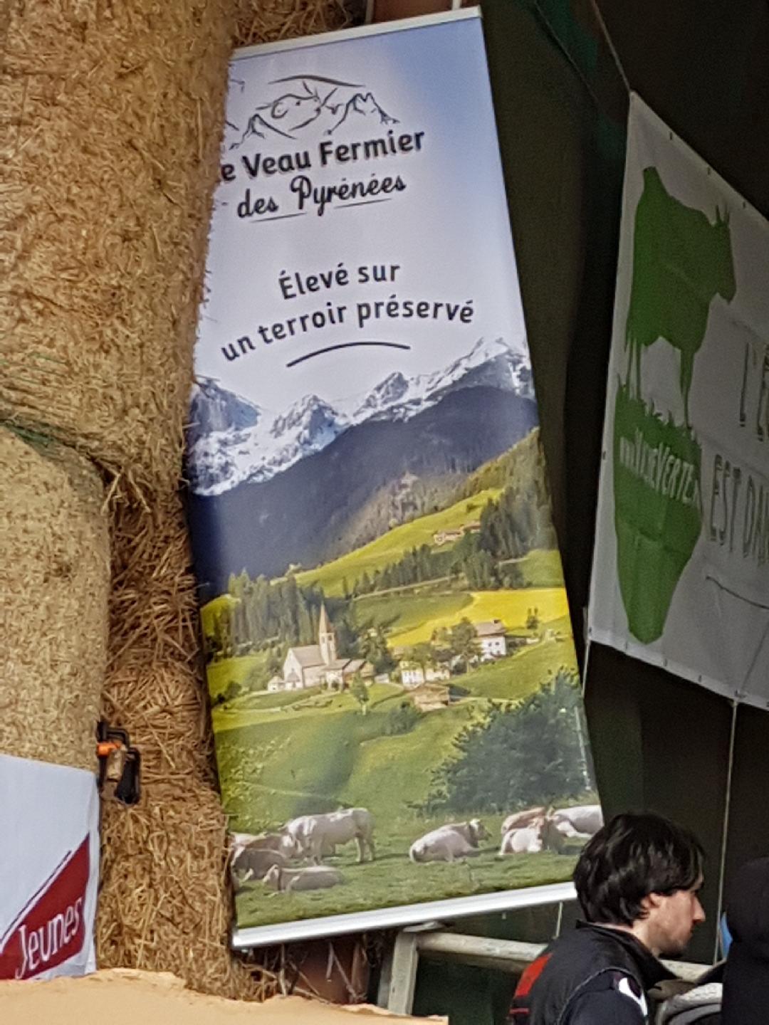 Visite de la ferme "La Hinoque" à Saramon