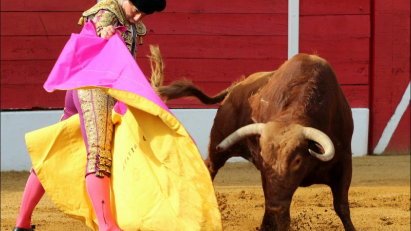 Toreros de Vic