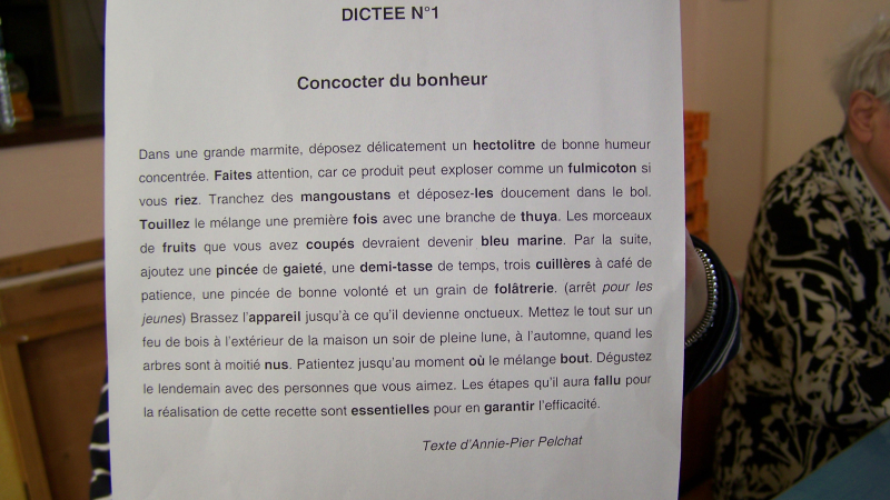 Points, virgules, guillemets, parenthèses, accents, traits d'union..ou comment suivre les ponctuations d'une dictée !