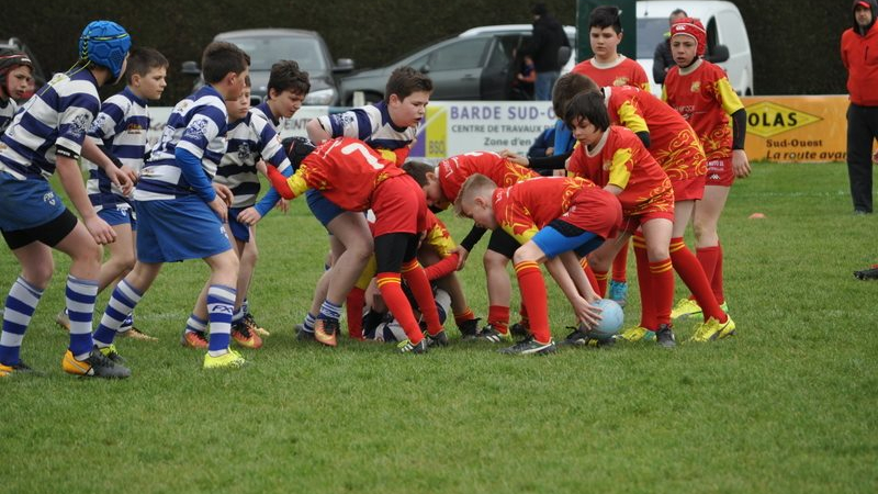 Ecole de rugby