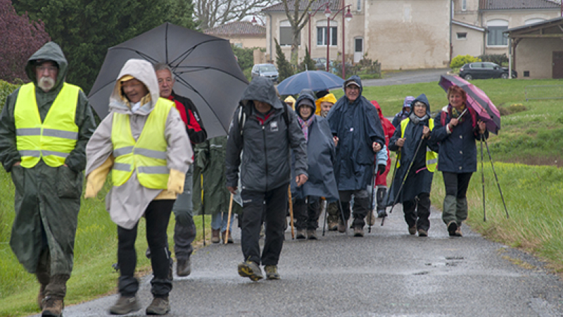 Contre vent et pluies les marcheurs d'ACTA opposent leur bonne humeur