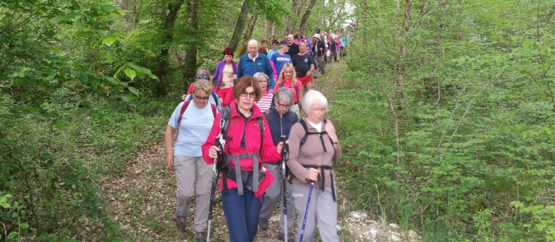 Douze clubs et 145 participants  ont participé à la rando de l'aubépine