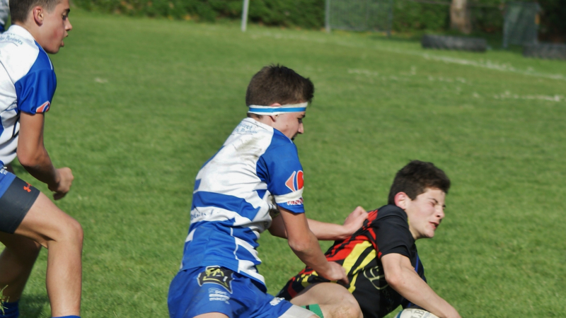 Echos de l'Union-Rivière-Basse-Rugby