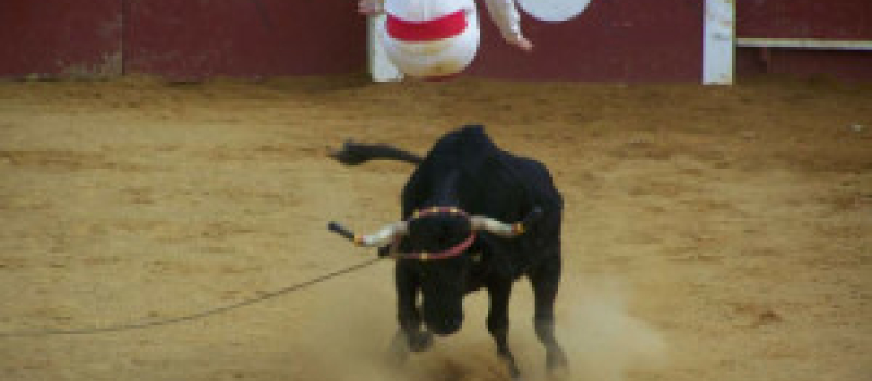 Course landaise de promotion