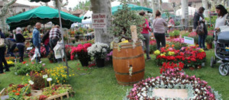 Marché aux fleurs de Fourcès, un bon cru