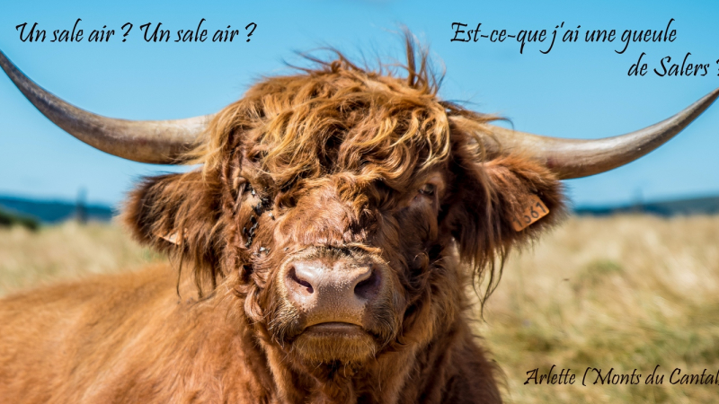Le photo-club de Pavie expose à la Médiathèque