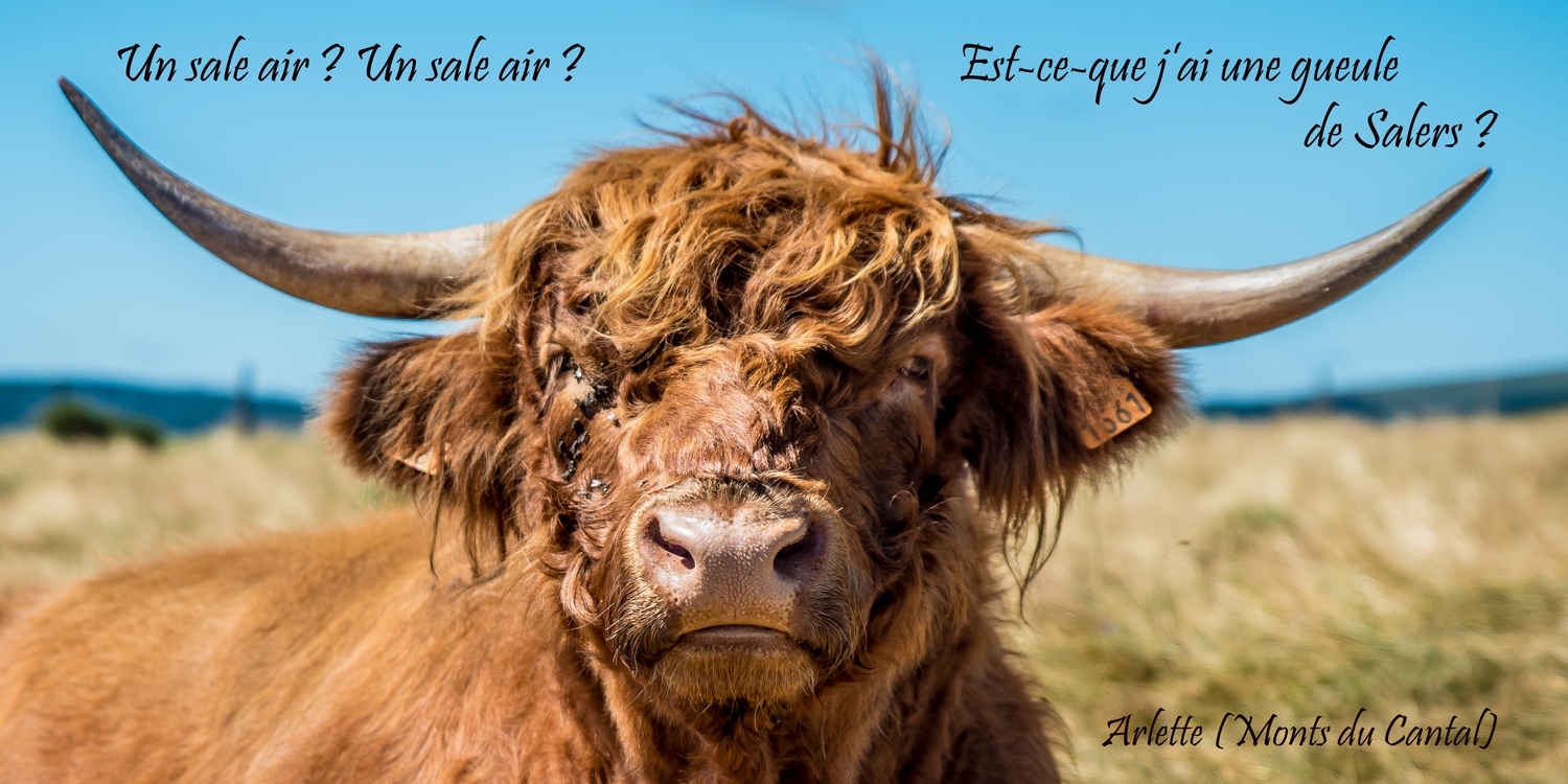 Elle pourrait être dans une pub ! 