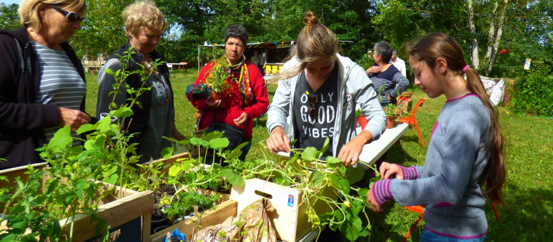 .Septième Troc de plantes au jardin partagé