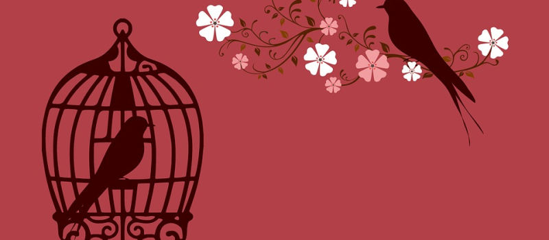 Festival de Philosophie et Arts Vivants