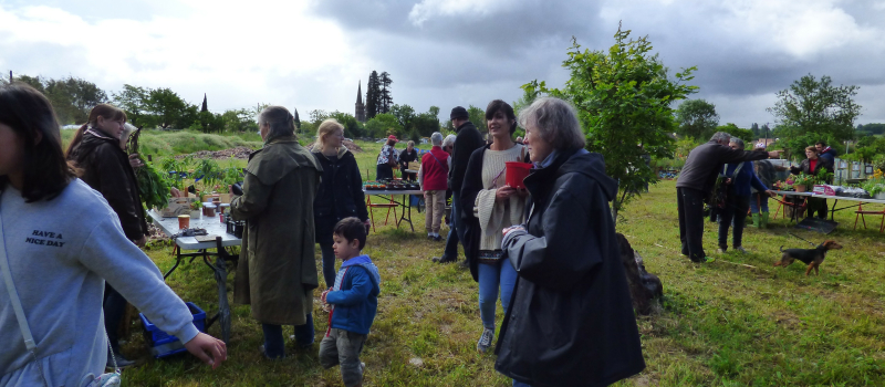 7e Troc des Plantes de Collembole