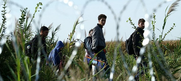 Migrants_in_Hungary_2015_Aug_015.jpg
