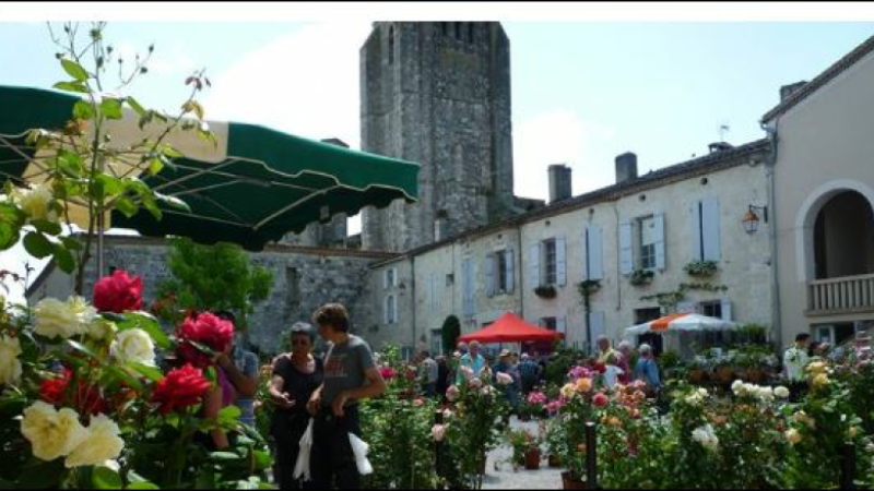 Marché aux rosiers