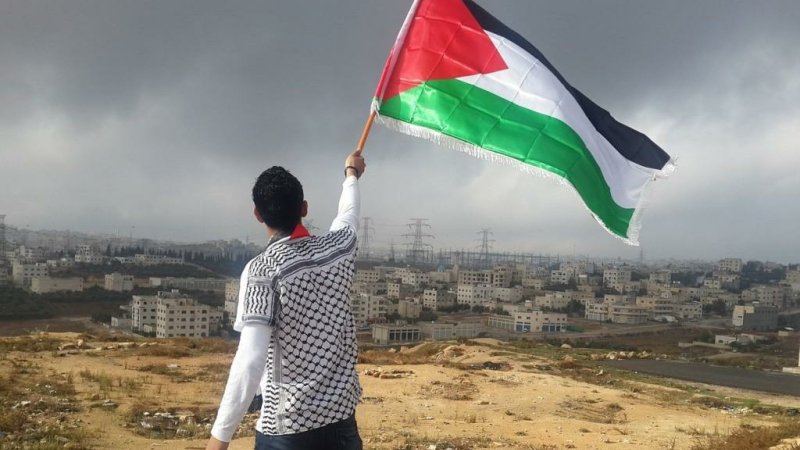 Solidarité Palestine