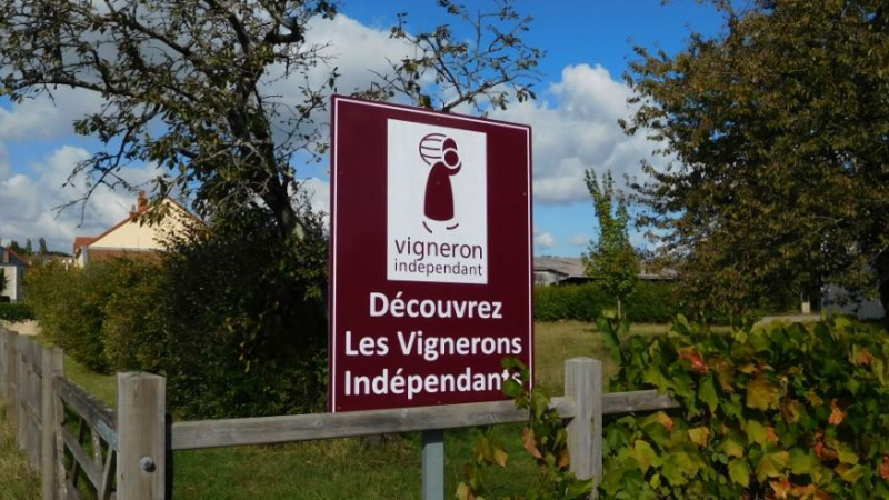 Journée des Vignerons Indépendants