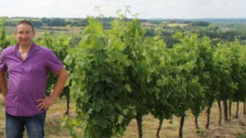 Les vignerons flingueurs sont de retour