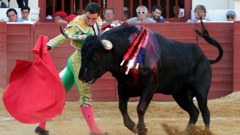 Corrida de "RASO de Portillo