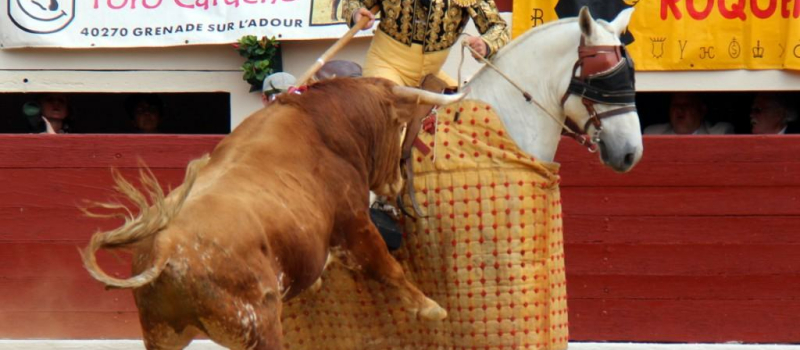 Novillada de Retamar