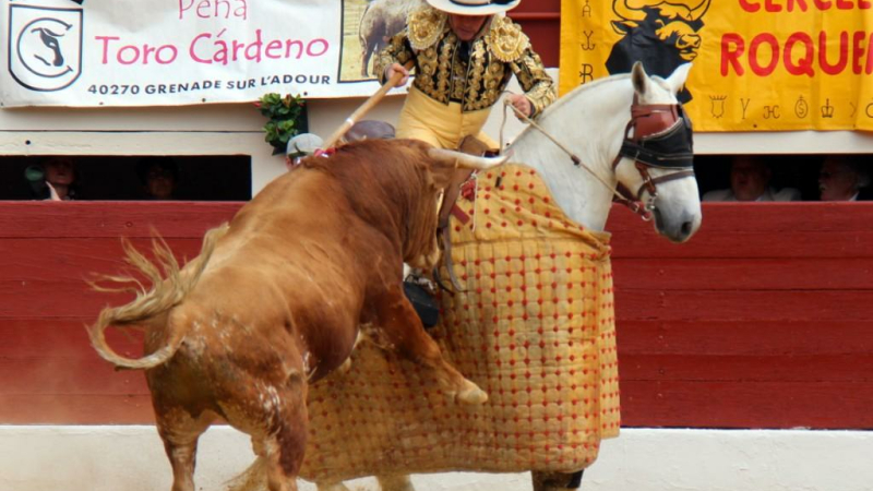 Novillada de Retamar
