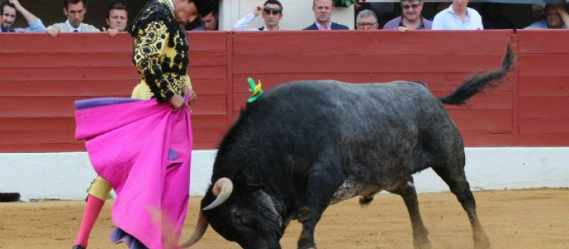 Corrida du 19 mai