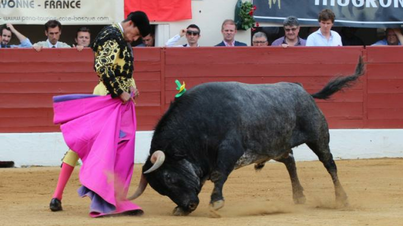 Corrida du 19 mai
