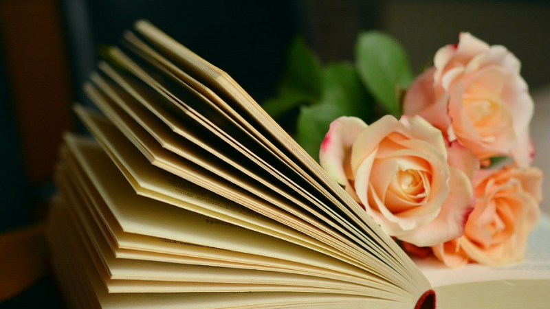 A vos marque-pages !