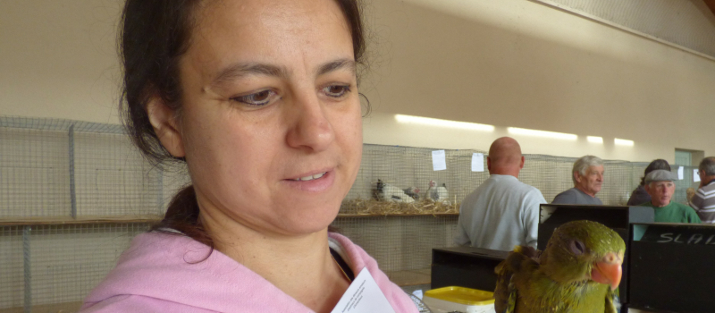 le marché aux animaux de compagnie d'Armentieux