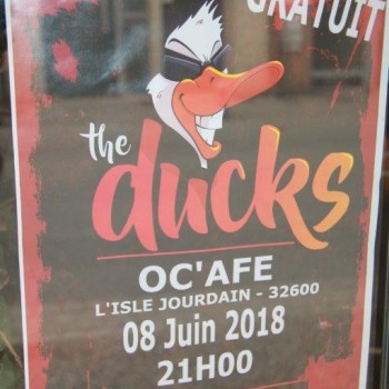 1 The Ducks au Oc'Afé.JPG