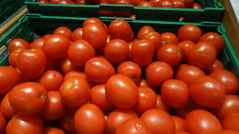 Les producteurs se mobilisent autour de Masseube