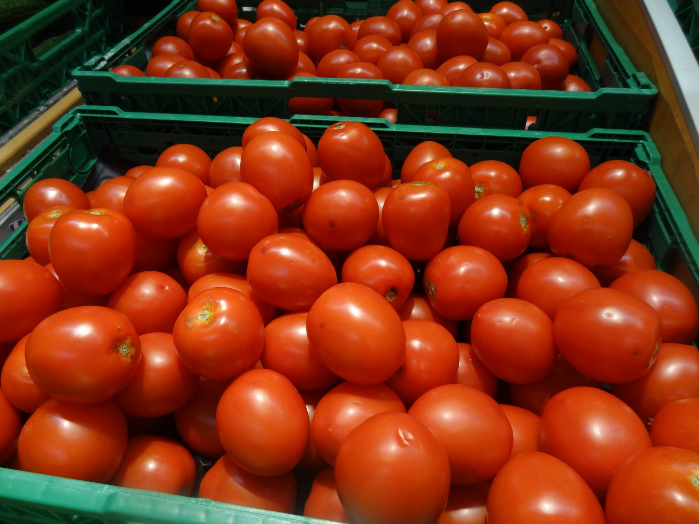 En été, trop de fruits et légumes ne sont même pas récoltés 