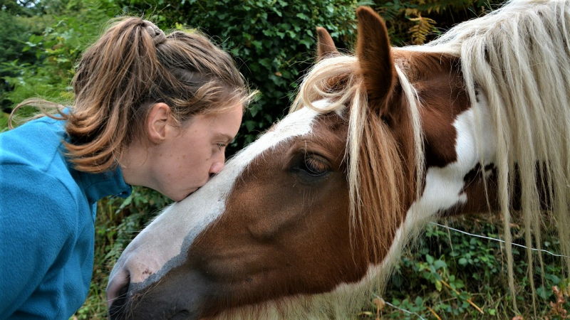 Equitation au collège vert d'Aignan.
