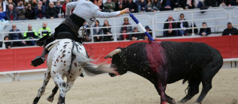 Corrida à cheval