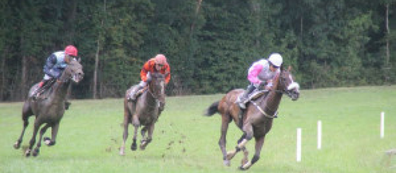  Repas et courses de chevaux