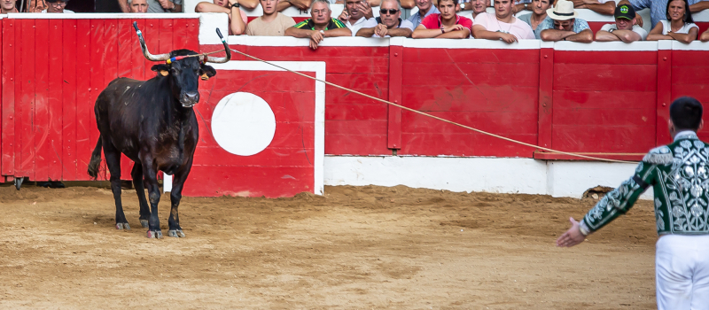 Festival de sauts et d’écarts pour la Corne d’Or de Nogaro  (2e partie)